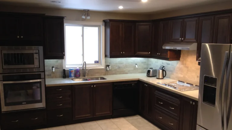 Modern kitchen with dark wood cabinets