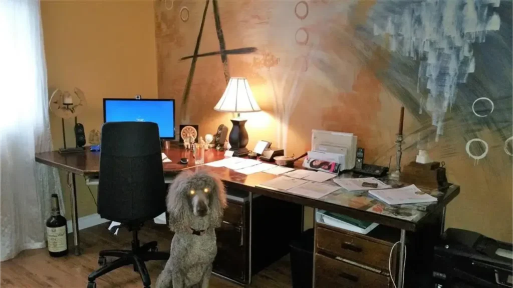 Our home remodeling office in Burlington features our desk and Remy.